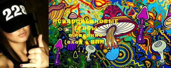 первитин Осинники