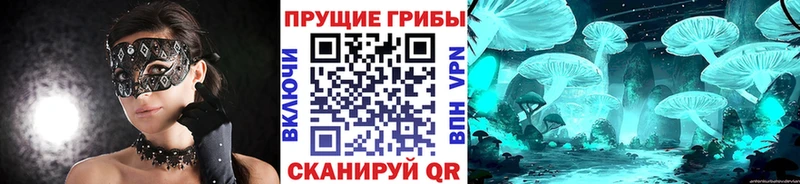Псилоцибиновые грибы мицелий  Купить закладки  Джанкой 